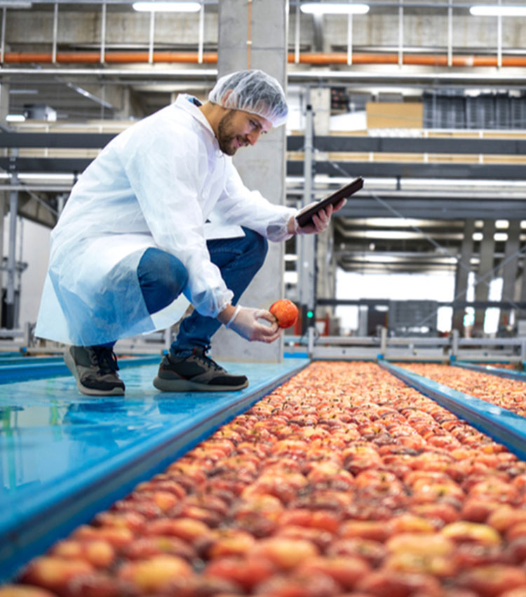 NESHUER INTERNATIONAL FZE LLC